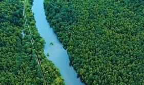 Big power of solar panels